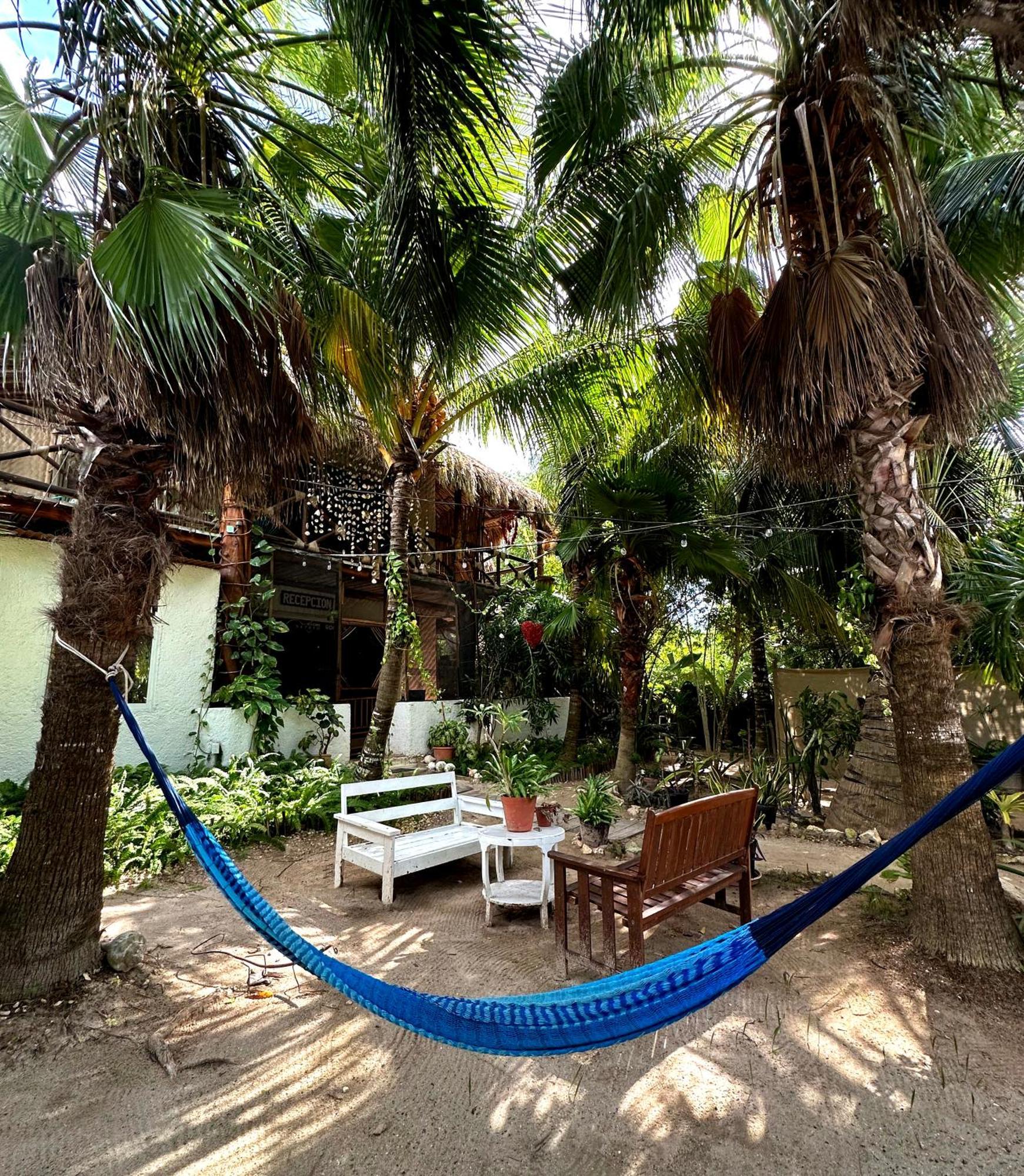 Sirenas Caribbean Rooms Holbox Extérieur photo